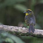 фото