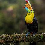 фото