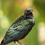 фото